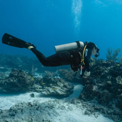 Fethiye Tüplü Dalış